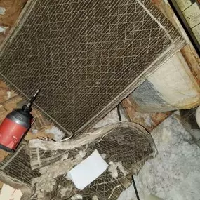Bild von Dynasty Ducts