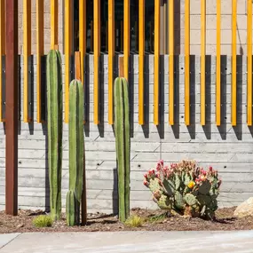 Bild von Partake Collective - Glassell Park
