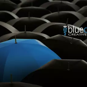 Bild von Blue Carrot Creative
