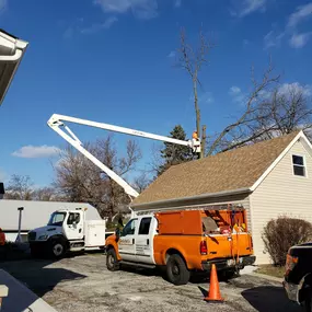 Bild von Gabriel's Tree Care Company Inc