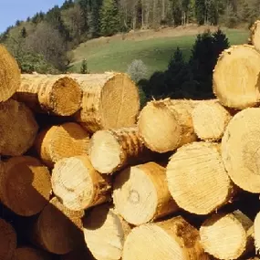 Bild von Holler Stefan Holz & Parkett-Fußbodenbau