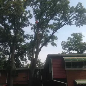 Bild von Gabriel's Landscape & Tree Services, Inc