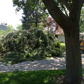 Bild von Gabriel's Landscape & Tree Services, Inc