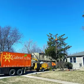 Bild von Gabriel's Landscape & Tree Services, Inc