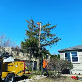 Bild von Gabriel's Landscape & Tree Services, Inc