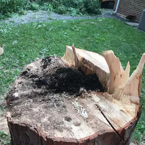 Bild von Gabriel's Landscape & Tree Services, Inc