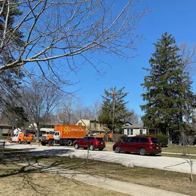 Bild von Gabriel's Landscape & Tree Services, Inc