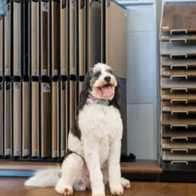 Bild von All About Flooring