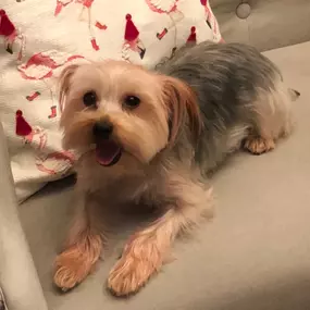 Bild von Coastal Girls Co. Palm Beach