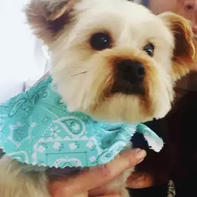 Bild von Coastal Girls Co. Palm Beach