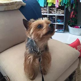 Bild von Coastal Girls Co. Palm Beach