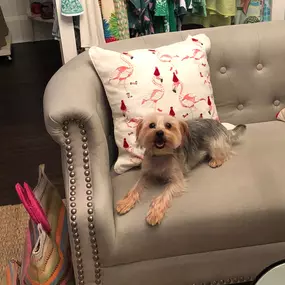 Bild von Coastal Girls Co. Palm Beach