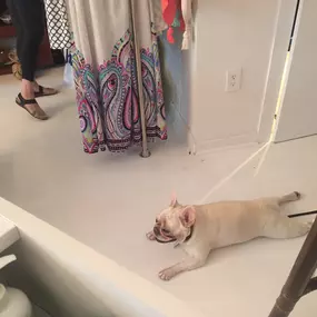 Bild von Coastal Girls Co. Palm Beach