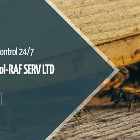Bild von Pest Control RAF SERV