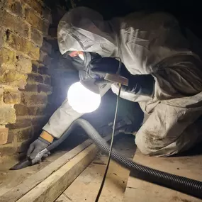 Bild von Pest Control RAF SERV