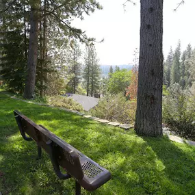 Bild von Berryhill Apartments