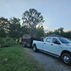 M&R Forestry providing tree services