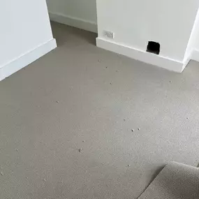 Bild von Special Ops Flooring