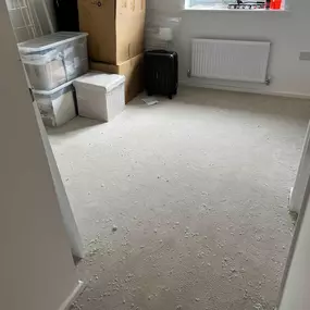 Bild von Special Ops Flooring