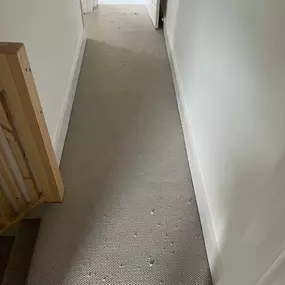 Bild von Special Ops Flooring