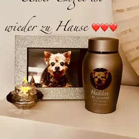 Bild von Tierbestattung-Fischer