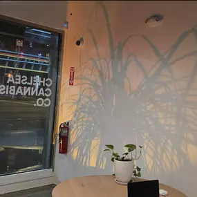 Bild von Chelsea Cannabis Co. - Licensed NY State Dispensary & Weed Delivery