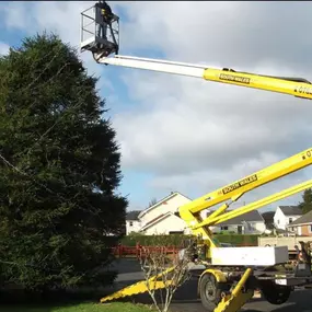 Bild von South Wales Access Hire
