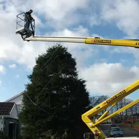 Bild von South Wales Access Hire
