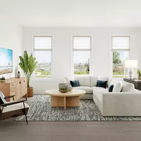 Great rooms with natural light