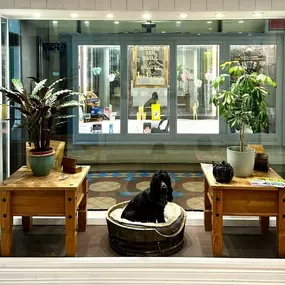 Bild von Porter Hill Tea Company