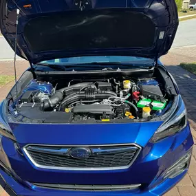 Bild von My Detail Guy, Inc.