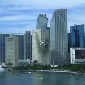 Bild von Vice SEO Miami Digital Marketing Agency