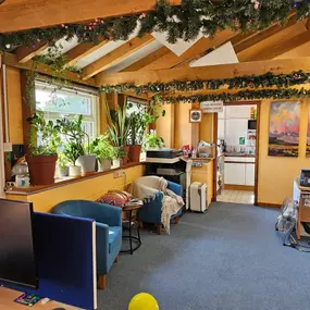 Bild von Chamomile Care