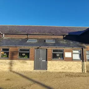 Bild von Chamomile Care