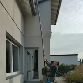 Bild von Die Burschen