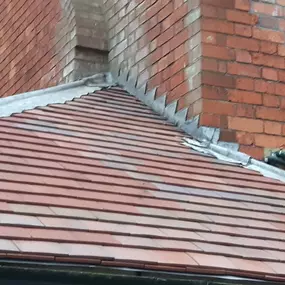 Bild von SS Roofing Services