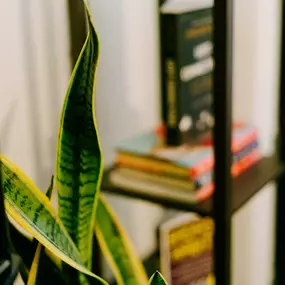 Bild von LightWork Therapy and Recovery