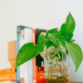 Bild von LightWork Therapy and Recovery