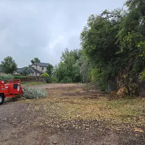 Bild von Terry's Tree Services Inc