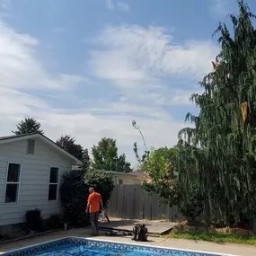 Bild von Terry's Tree Services Inc