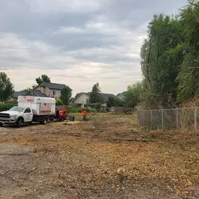Bild von Terry's Tree Services Inc