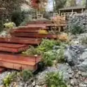 Bild von Terraflora Garden Design Ltd