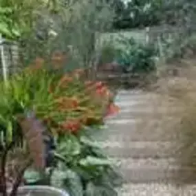Bild von Terraflora Garden Design Ltd