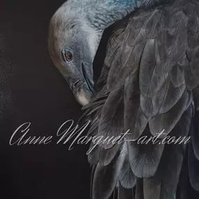 Bild von Anne Marguet