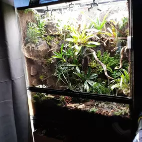 Bild von AquaLifeScape