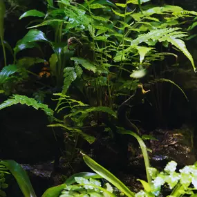 Bild von AquaLifeScape