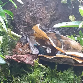 Bild von AquaLifeScape