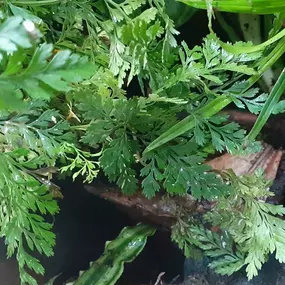 Bild von AquaLifeScape