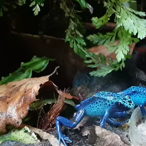 Bild von AquaLifeScape