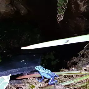 Bild von AquaLifeScape